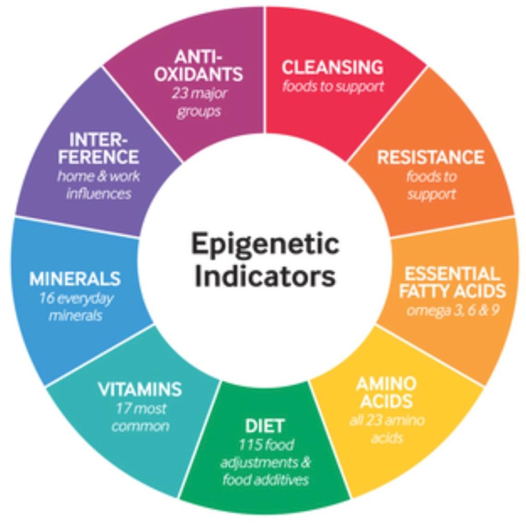 Epigenetic test